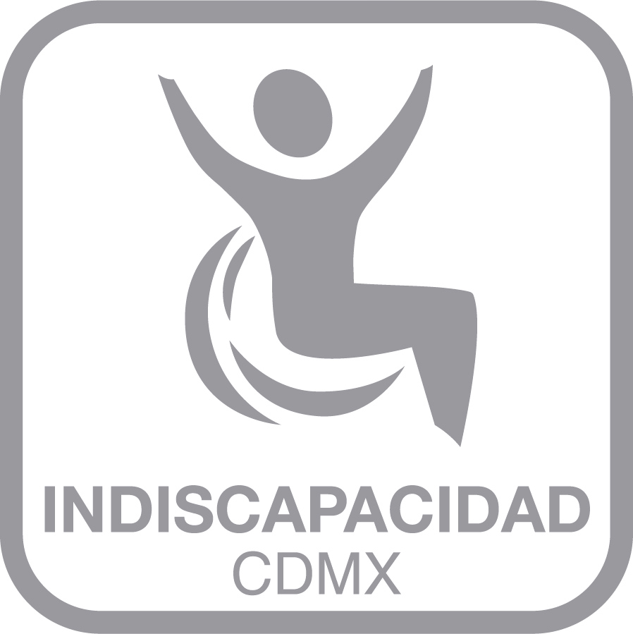 INDISCAPACIDAD(1).jpg
