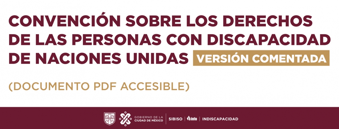 CDPCD de la ONU, versión comentada