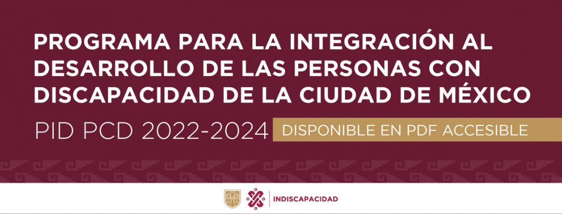 PiDPcD 2022-2024, PDF Accesible